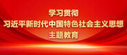 操逼就要老逼学习贯彻习近平新时代中国特色社会主义思想主题教育_fororder_ad-371X160(2)